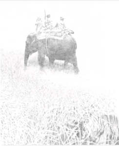 Pencil drawing print of hunters on elephantback with tiger hiding in the grass